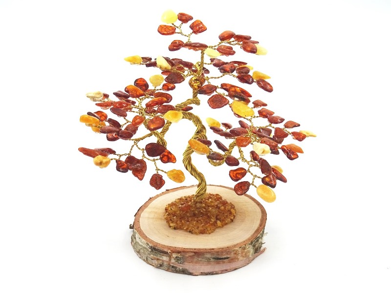 Amber tree Bonsai B135