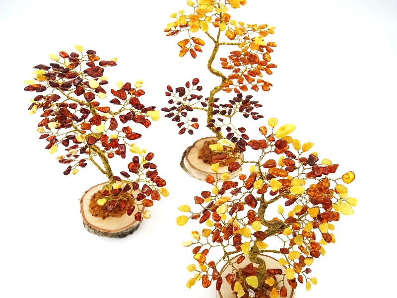 Amber tree Bonsai Bd210 2
